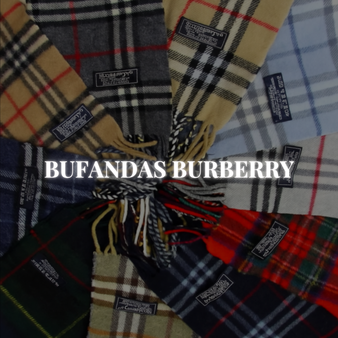Proveedor de bufandas Burberry